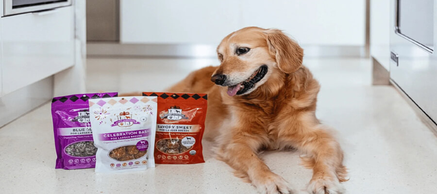 Best Organic Dog Treats for Health-Conscious Pet Owners
